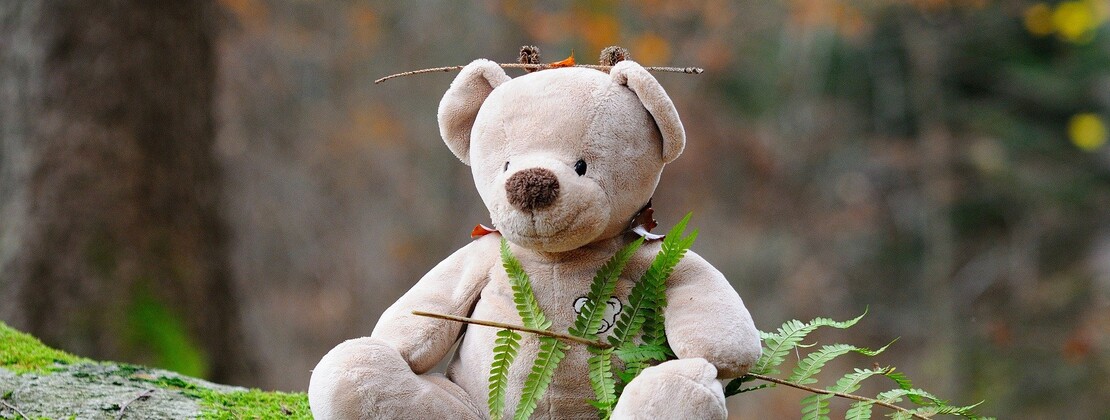 teddy-bear-g72f666902_1920.jpg
